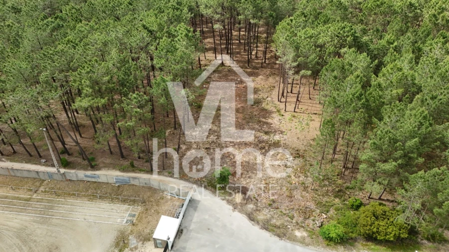 Terreno para Venda em Maceira Foto 15