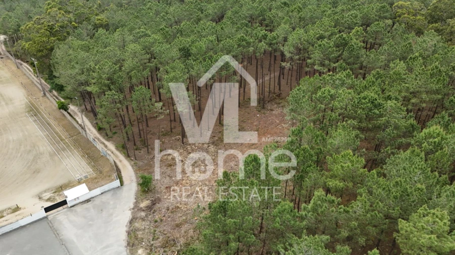 Terreno para Venda em Maceira Foto 17