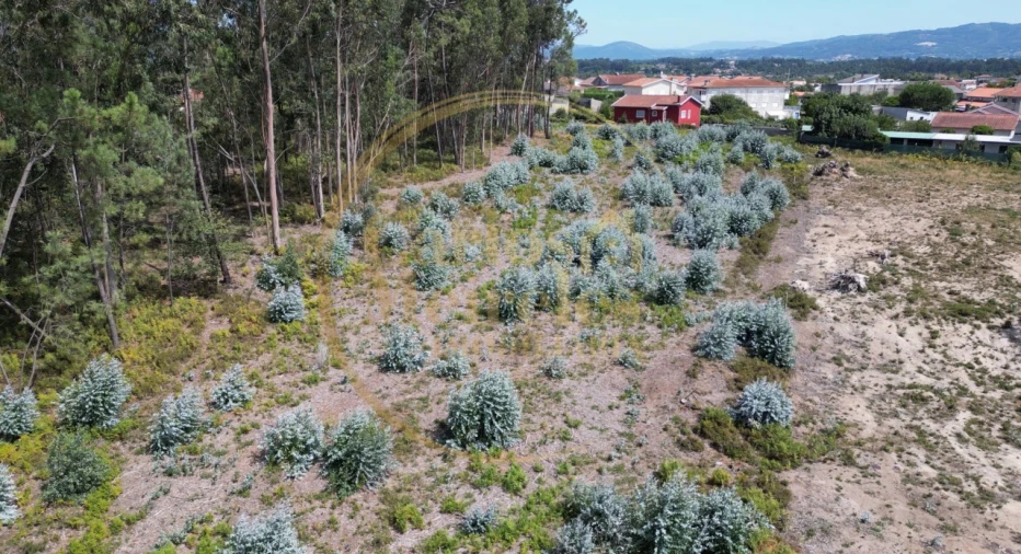 Terreno para Venda em Turiz Foto 5