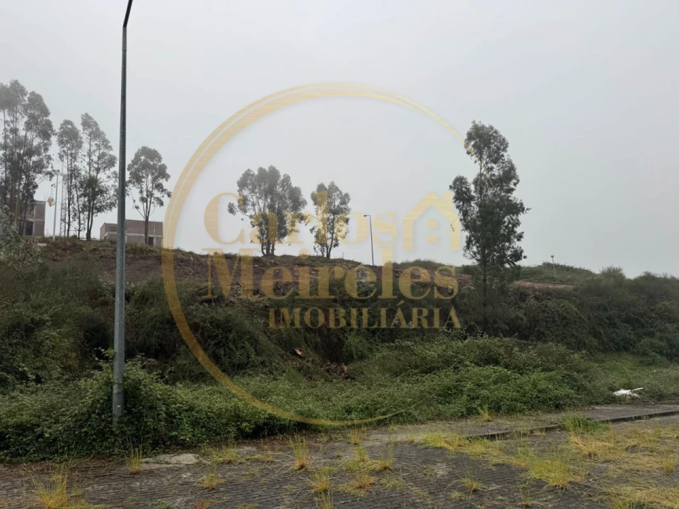 Terreno para Venda em Ruivães e Novais Foto 1