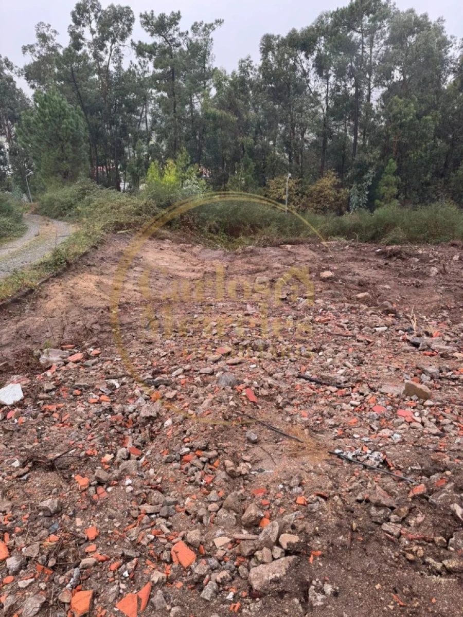 Terreno para Venda em Ruivães e Novais Foto 2