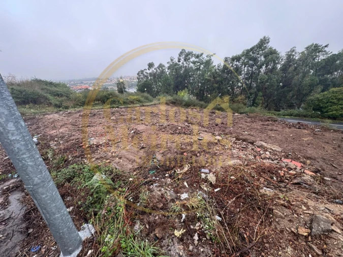 Terreno para Venda em Ruivães e Novais Foto 3