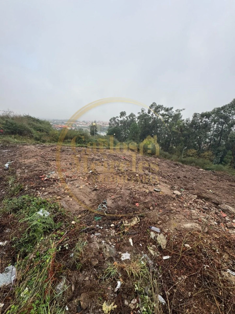 Terreno para Venda em Ruivães e Novais Foto 4