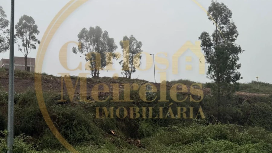 Terreno para Venda em Ruivães e Novais