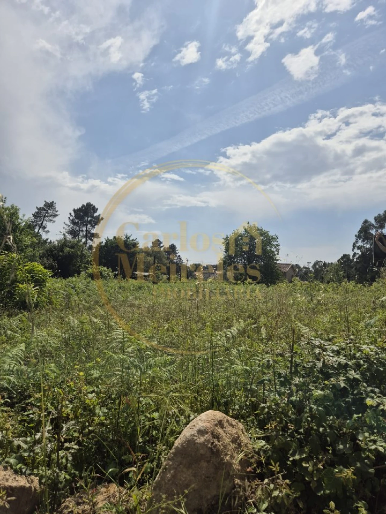 Terreno para Venda em Vila Verde e Barbudo Foto 2