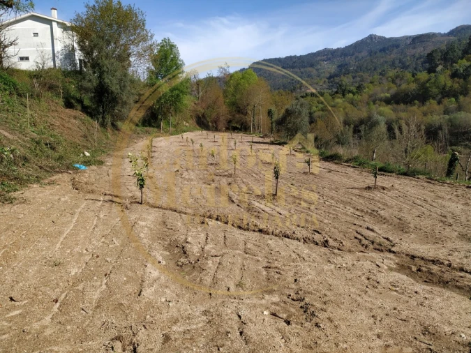 Terreno para Venda em Gondoriz Foto 18