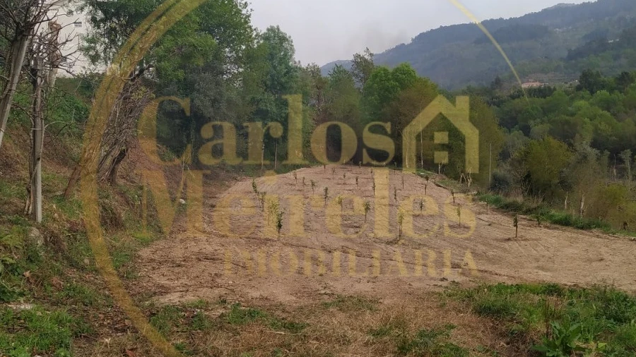 Terreno para Venda em Gondoriz