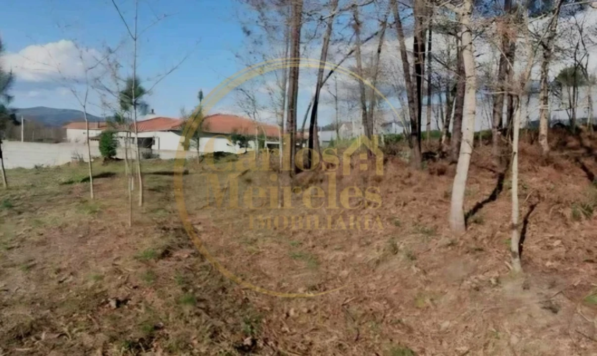 Terreno para Venda em Fiscal Foto 2