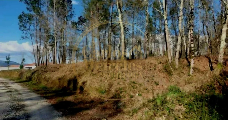 Terreno para Venda em Fiscal