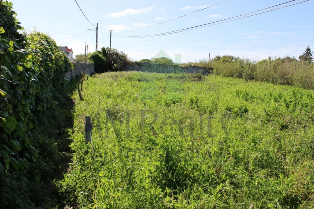 Terreno para Venda em Peniche Foto 2
