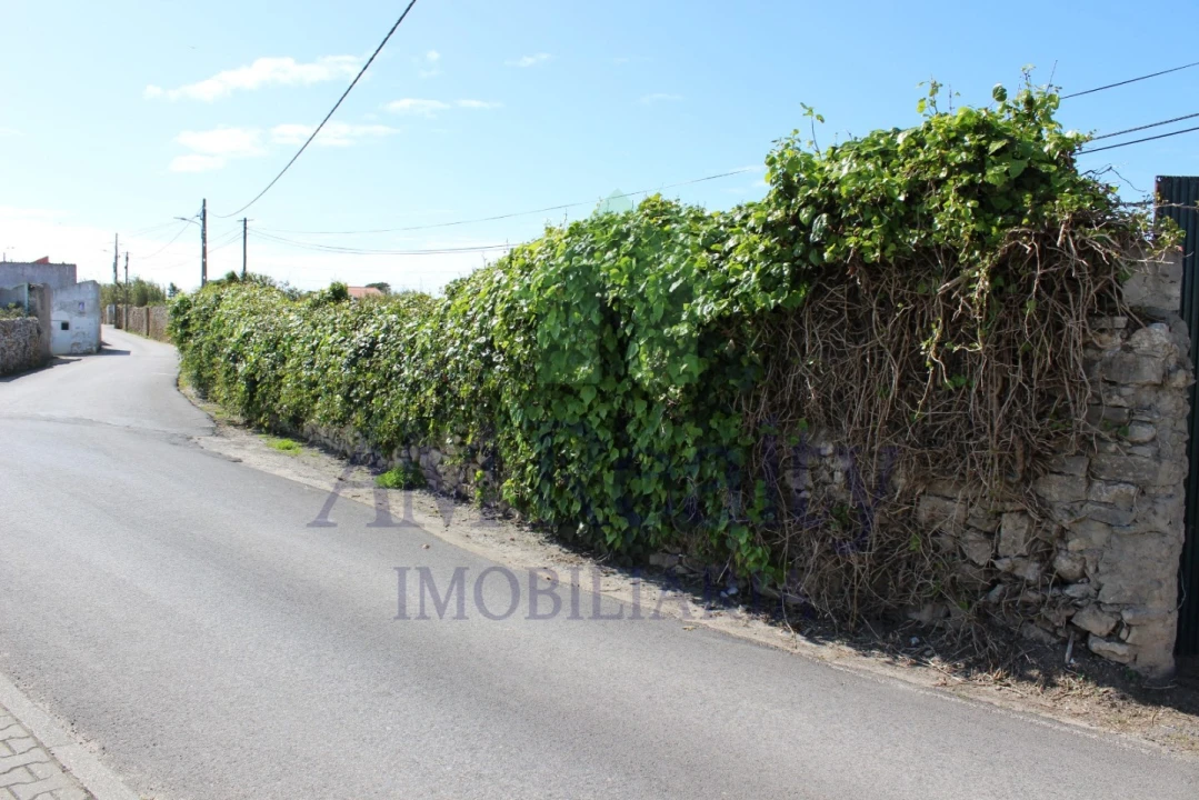 Terreno para Venda em Peniche Foto 8