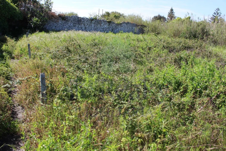 Terreno para Venda em Peniche Foto 4