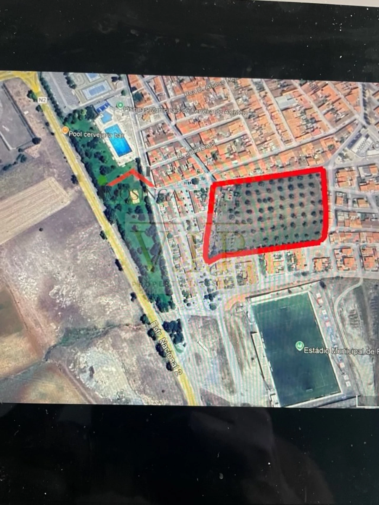 Terreno para Venda em Ferreira do Alentejo e Canhestros Foto 2