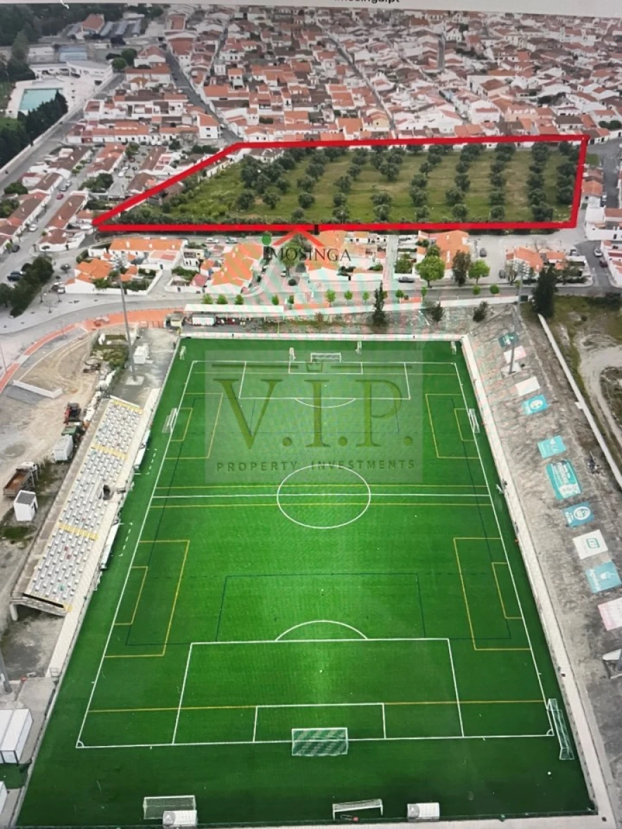 Terreno para Venda em Ferreira do Alentejo e Canhestros Foto 3