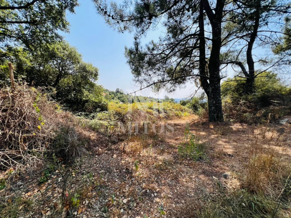 Terreno para Venda em Subportela, Deocriste e Portela Susã Foto 2