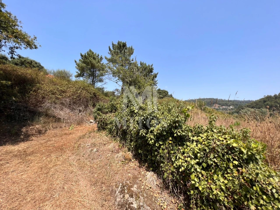Terreno para Venda em Subportela, Deocriste e Portela Susã Foto 3