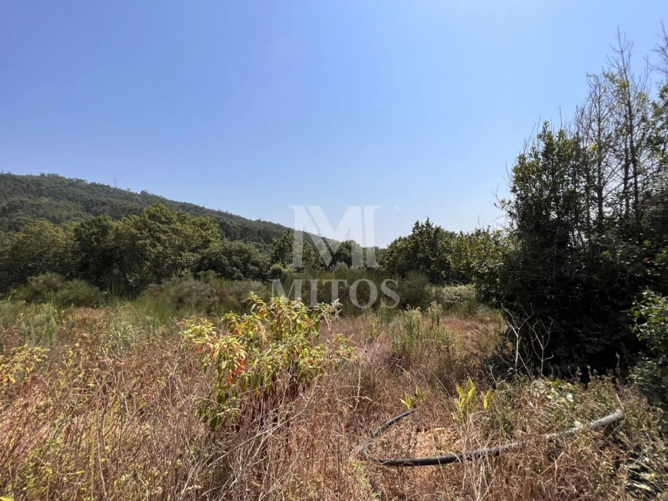 Terreno para Venda em Subportela, Deocriste e Portela Susã Foto 5