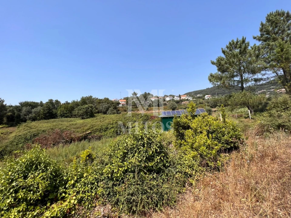 Terreno para Venda em Subportela, Deocriste e Portela Susã Foto 6