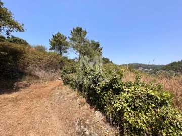 Terreno para Venda em Subportela, Deocriste e Portela Susã