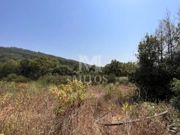 Terreno para Venda em Subportela, Deocriste e Portela Susã