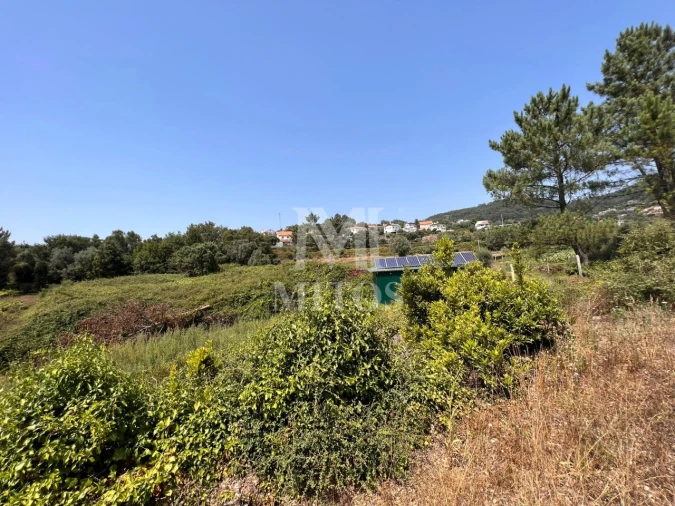 Terreno para Venda em Subportela, Deocriste e Portela Susã Foto 6