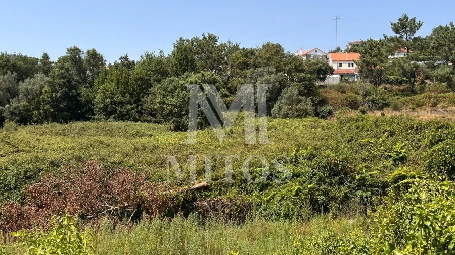 Terreno para Venda em Subportela, Deocriste e Portela Susã