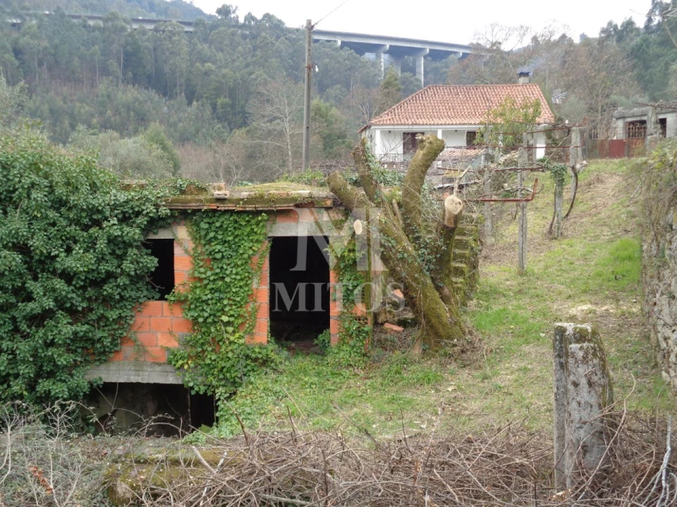 Terreno para Venda em Labruja Foto 4