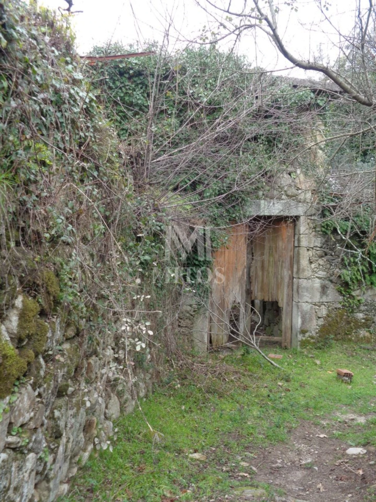 Terreno para Venda em Labruja Foto 6