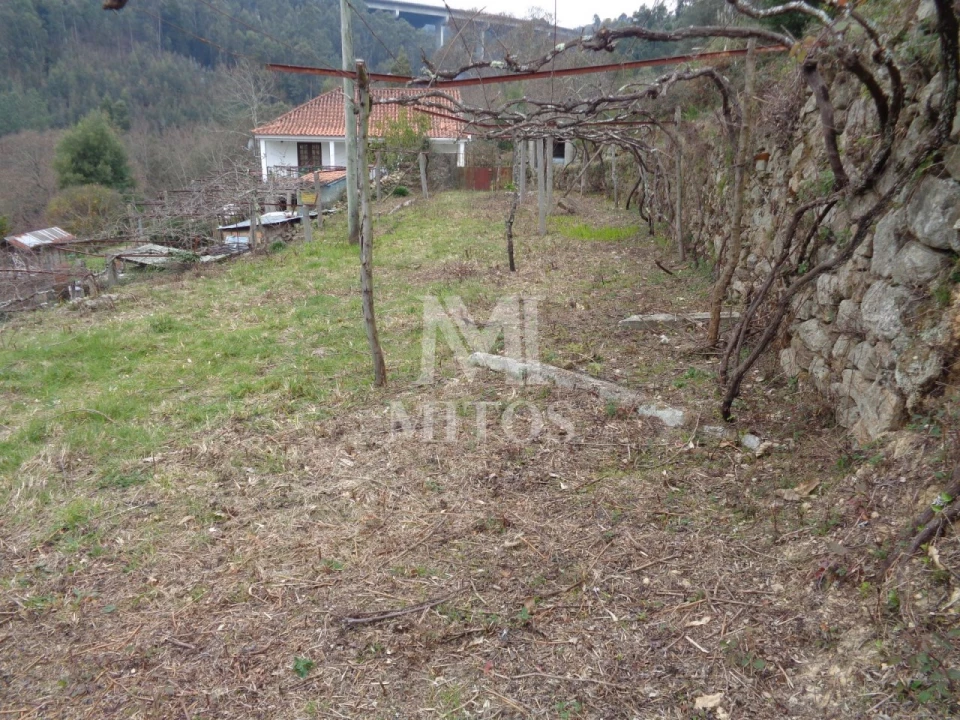 Terreno para Venda em Labruja Foto 1