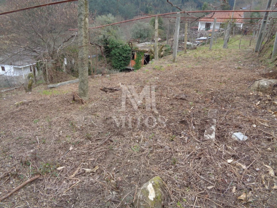 Terreno para Venda em Labruja Foto 12