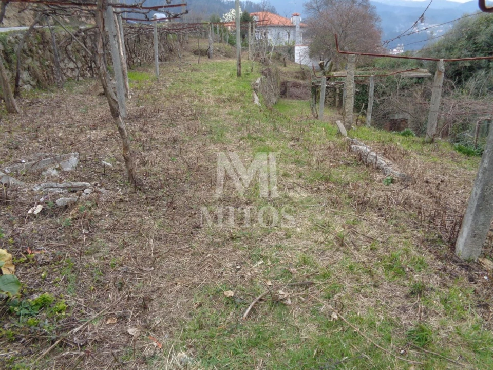 Terreno para Venda em Labruja Foto 13