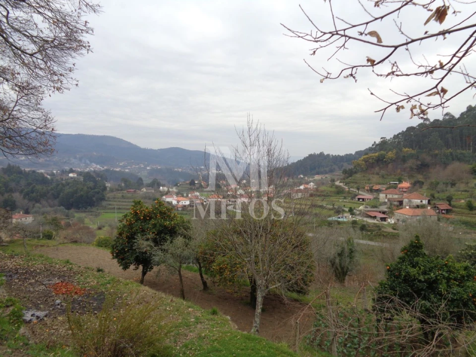 Terreno para Venda em Labruja Foto 15