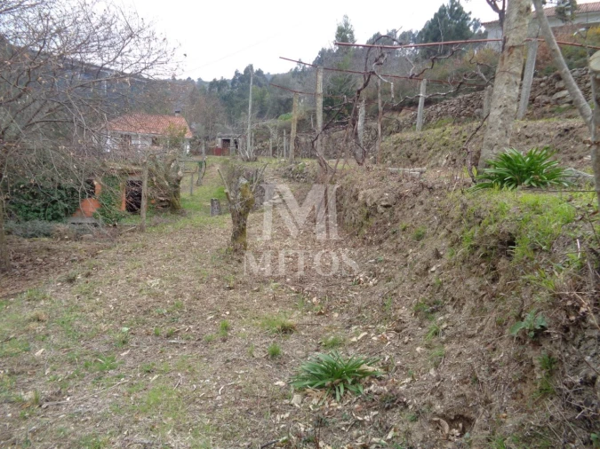 Terreno para Venda em Labruja Foto 2