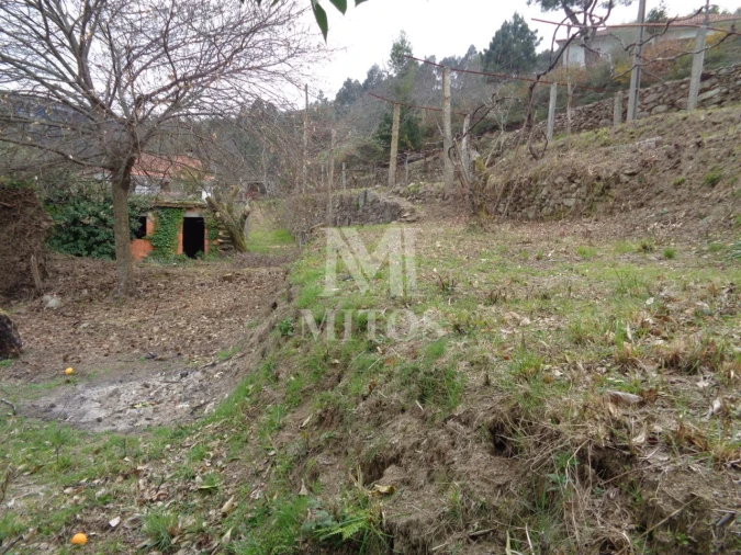 Terreno para Venda em Labruja Foto 5