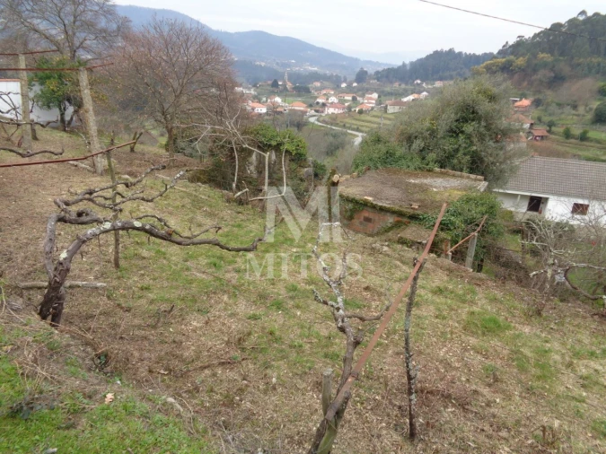 Terreno para Venda em Labruja Foto 11