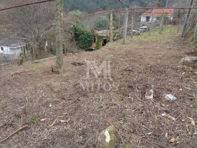 Terreno para Venda em Labruja Foto 12