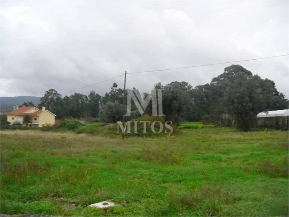 Terreno para Venda em Forjães Foto 3