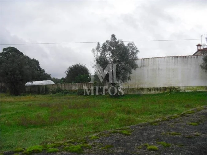 Terreno para Venda em Forjães Foto 2