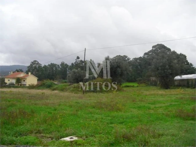 Terreno para Venda em Forjães Foto 3