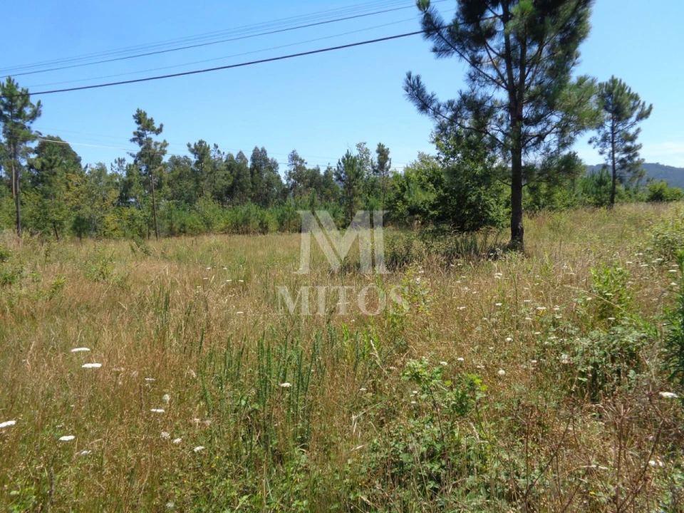 Terreno para Venda em Geraz do Lima (Santa Maria, Santa Leocádia, Moreira), Deão Foto 4
