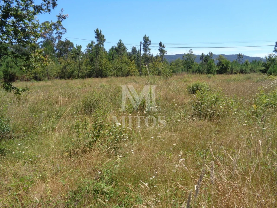 Terreno para Venda em Geraz do Lima (Santa Maria, Santa Leocádia, Moreira), Deão Foto 5