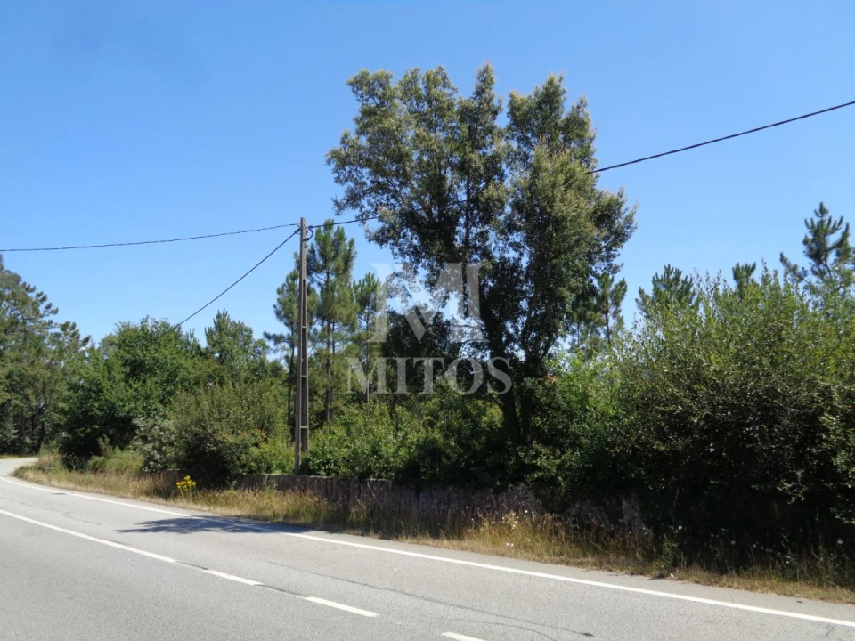 Terreno para Venda em Geraz do Lima (Santa Maria, Santa Leocádia, Moreira), Deão Foto 8
