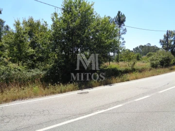 Terreno para Venda em Geraz do Lima (Santa Maria, Santa Leocádia, Moreira), Deão