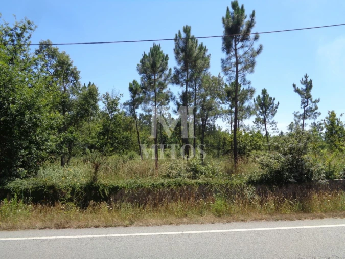 Terreno para Venda em Geraz do Lima (Santa Maria, Santa Leocádia, Moreira), Deão Foto 2