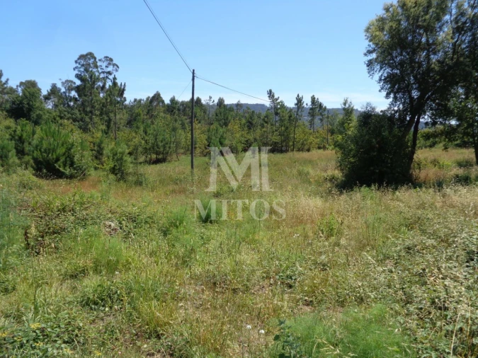Terreno para Venda em Geraz do Lima (Santa Maria, Santa Leocádia, Moreira), Deão Foto 3