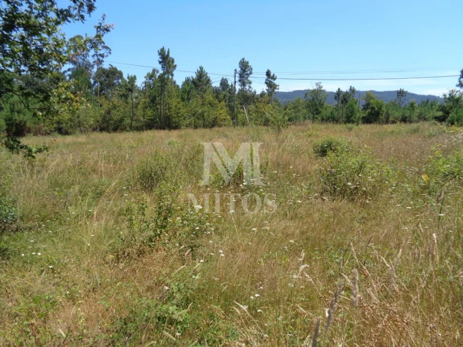Terreno para Venda em Geraz do Lima (Santa Maria, Santa Leocádia, Moreira), Deão Foto 5