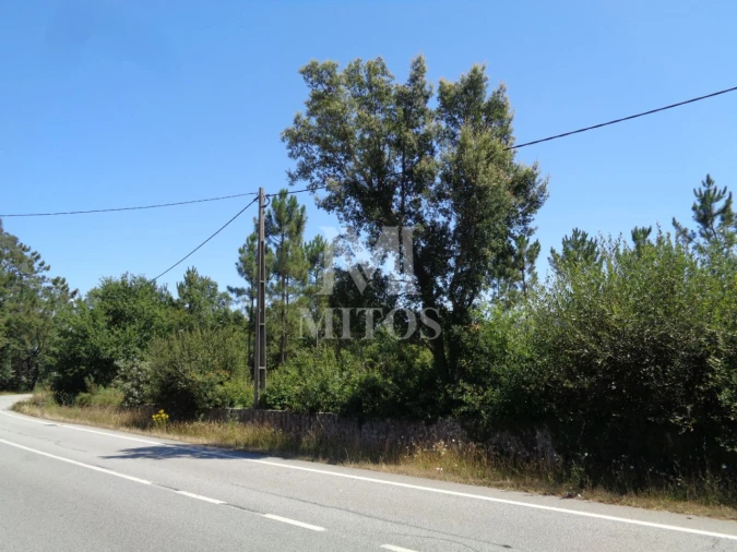 Terreno para Venda em Geraz do Lima (Santa Maria, Santa Leocádia, Moreira), Deão Foto 8