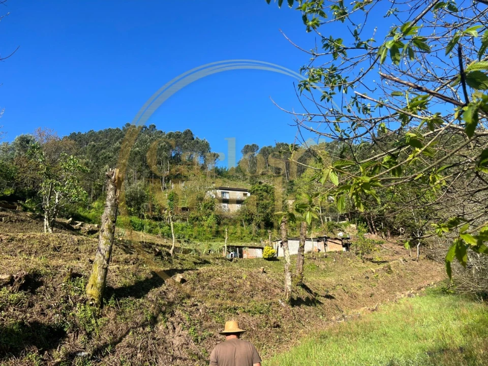 Terreno para Venda em Campo do Geres Foto 14