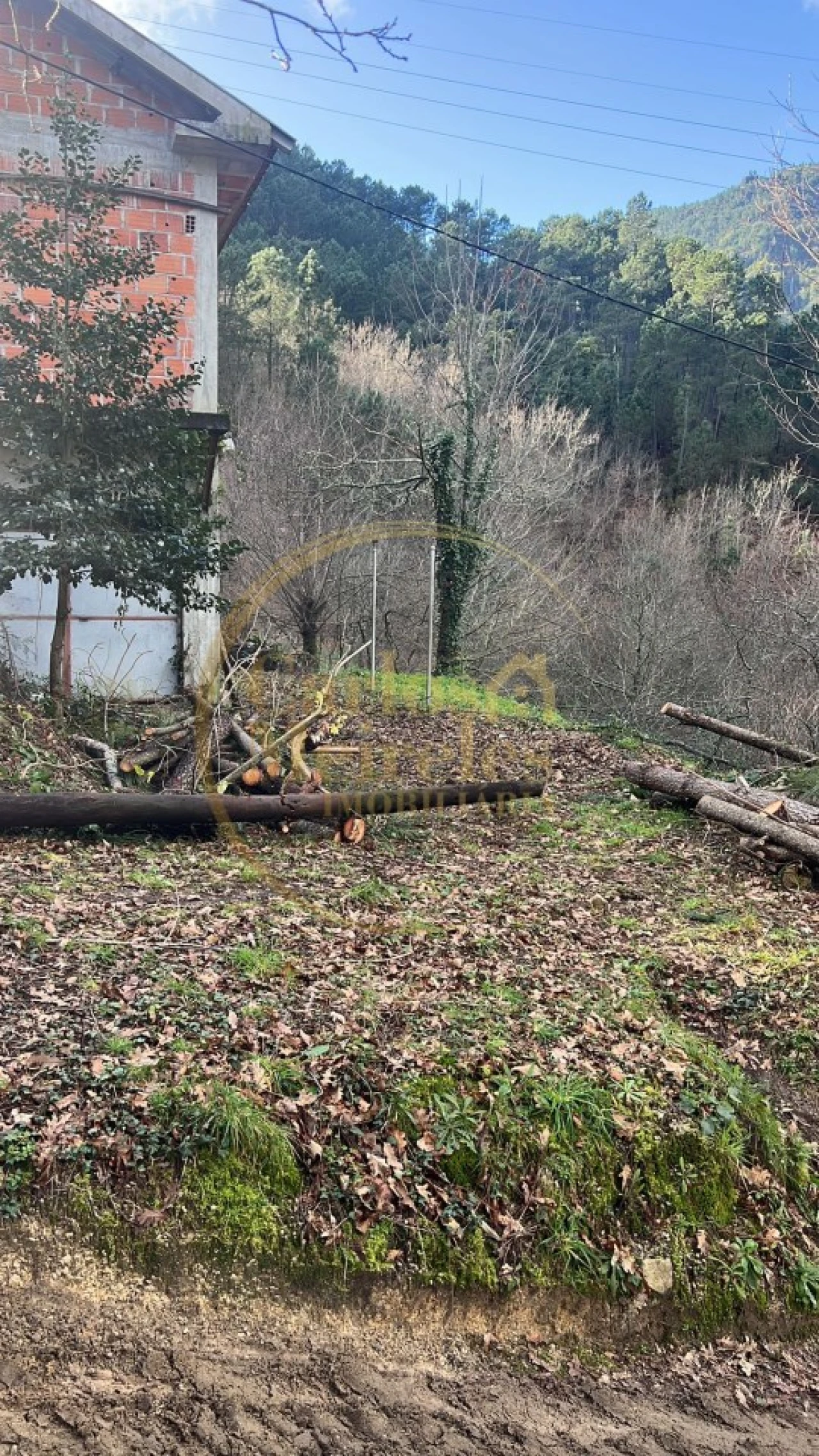 Terreno para Venda em Campo do Geres Foto 19