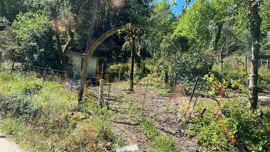 Terreno para Venda em Campo do Geres Foto 12